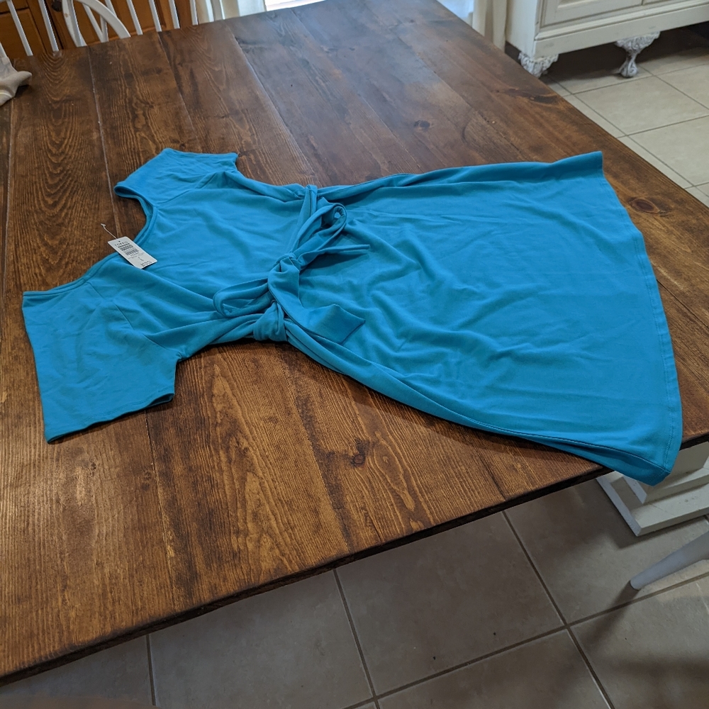 Torrid dress
